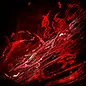 Exsanguinate gem icon for Path of Exile 2