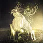 Vivid Stampede gem icon for Path of Exile 2